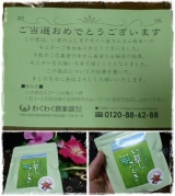 口コミ：『い草のふしぎ【アサイー＆カムカム】粉末タイプ』＠モニプラの画像（3枚目）