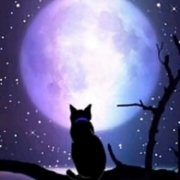 「5つ当てはまりました。」<スマホイベント>あなたはいくつ当てはまる？活性型コエンザイムＱ１０モニター募集の投稿画像