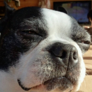 「おばぁちゃんが、ひざが痛いので、なおればと思います」＜スマホイベント＞痛いのさよなら！Ｎ-アセチルグルコサミン！モニター募集！の投稿画像