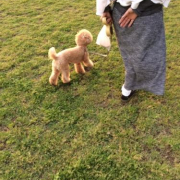 「私の母は肩こりと腰痛などに悩まされていていつも痛い痛い、ていいながら元気モリモリのわんこのお散歩しに行って…整骨院に行って、と日々辛そうなので飲んでためさしてたげたいです。」＜スマホイベント＞痛いのさよなら！Ｎ-アセチルグルコサミン！モニター募集！の投稿画像