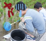 口コミ記事「父の威厳をたもった日（笑）」の画像