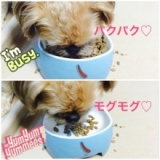 口コミ：▼無添加ドッグフード安心/ドッグフード無添加安心本舗▼の画像（6枚目）