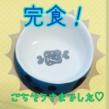 口コミ：▼無添加ドッグフード安心/ドッグフード無添加安心本舗▼の画像（7枚目）