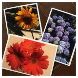 口コミ：【インク・コンシェルジュ】激安インクカートリッジの画像（1枚目）