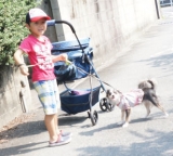 口コミ記事「久しぶりみんなでお散歩♪」の画像