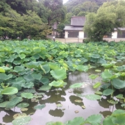 「よろしくお願いします。」★夏の訪れ写真をパチリ♪★10名様に酵素サプリをプレゼントの投稿画像
