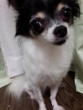 女の子らしい顔の表情してくれて思わず写真録りました！
