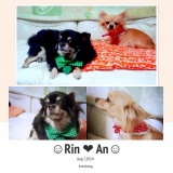 どちらも体が弱いです（ ;  ; ）<br />とっても可愛いでしょ？♡<br />ずっと元気でいてほしいです！