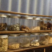 「瓶のインテリア★」【コラーゲンドリンク30本3名様】100円で簡単！暮らしのアイデア募集！の投稿画像