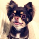 ちょこんと前歯が一本出ている所が笑えます☆