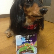 「我が家の姫です♪」美味しい＆栄養価がギュッと凝縮！「無水調理」のドッグフードを24名様にプレゼントの投稿画像