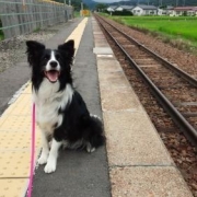 「たくさん食べて欲しい」美味しい＆栄養価がギュッと凝縮！「無水調理」のドッグフードを24名様にプレゼントの投稿画像