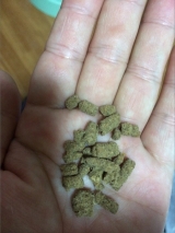 口コミ：お試し◆無添加ドッグフード安心の画像（2枚目）