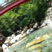 「川」目から涼もう♪「涼」を感じる写真募集！スキンケア＆美容ゼリープレゼントの投稿画像