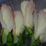 「ネバネバ食品で！」美肌お料理の写真大募集！　無添加ミスト化粧水とQUOカード1000円分進呈♪の投稿画像