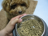 口コミ：ドッグフード無添加安心本舗 無添加ドッグフード安心♪の画像（2枚目）