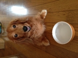 カメラに笑顔♪