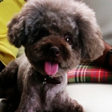 家族で過ごす時間。