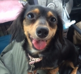 おやつ欲しくてアピール中♪