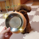 口コミ：♡ドックフード無添加安心本舗様より♡の画像（5枚目）