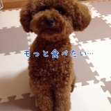 口コミ：♡ドックフード無添加安心本舗様より♡の画像（4枚目）