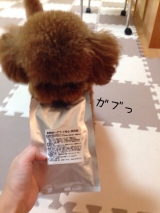 口コミ：♡ドックフード無添加安心本舗様より♡の画像（11枚目）