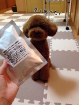 口コミ：♡ドックフード無添加安心本舗様より♡の画像（10枚目）