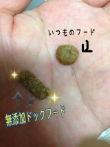 口コミ：♡ドックフード無添加安心本舗様より♡の画像（7枚目）