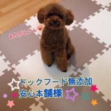 口コミ：♡ドックフード無添加安心本舗様より♡の画像（1枚目）