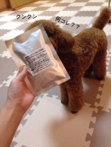 口コミ：♡ドックフード無添加安心本舗様より♡の画像（12枚目）