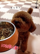 口コミ：♡ドックフード無添加安心本舗様より♡の画像（8枚目）