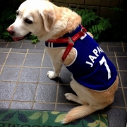 「よろしく！！」美味しい＆栄養価がギュッと凝縮！「無水調理」のドッグフードを24名様にプレゼントの投稿画像