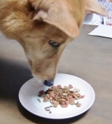 口コミ：ボンボンママのプレミアムごちそうまぐろのモニターの画像（3枚目）