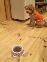 口コミ：無添加ドックフードモニターの画像（3枚目）