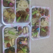 「料理が苦手な私の誤魔化し弁当！」【プラセンタドリンク15本5名様】秋の運動会！お弁当のオススメおかずおしえて♪の投稿画像