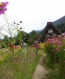 合掌造り☆白川郷