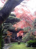 秋の九年庵