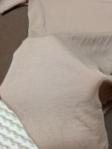 口コミ：モニター☆ シャルレのリヨセルインナーの画像（4枚目）