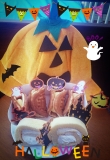 モンスターの集い☆★☆