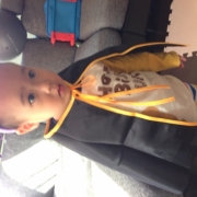 「ちびデビル」Happy Halloween☆ハロウィン写真募集！ルイボスティプレゼント5名様の投稿画像