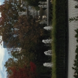 昼下がりの公園♪