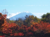 山梨の秋
