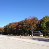 秋の上野公園