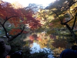 「成田山で」の画像（1枚目）