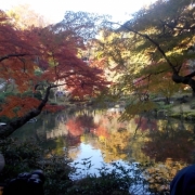 「成田山で」あなたが見つけた「秋の風景」写真コンテスト！の投稿画像