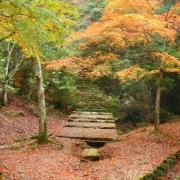 「安芸の風景」あなたが見つけた「秋の風景」写真コンテスト！の投稿画像