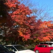 「車の赤よりもみじの紅」あなたが見つけた「秋の風景」写真コンテスト！の投稿画像