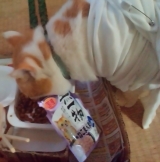 口コミ：国産 無一物　ねこまんまパウチ　むね肉ですの画像（2枚目）