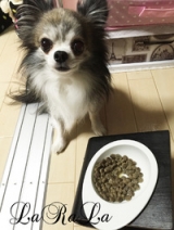 口コミ：魚のドッグフード「フィッシュ4ドッグサーモン小粒」モニターの画像（1枚目）