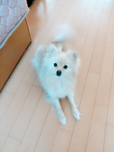 口コミ：無添加安心本舗の画像（2枚目）